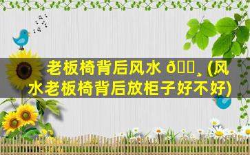 老板椅背后风水 🕸 (风水老板椅背后放柜子好不好)